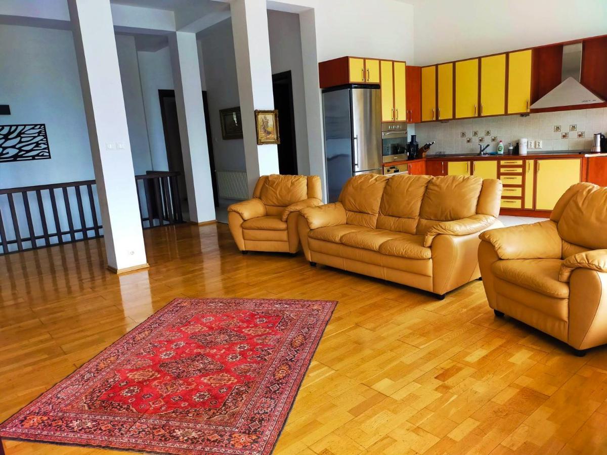 Villa & Spa 4Temporadas - Plaiul Foii Zărneşti المظهر الخارجي الصورة