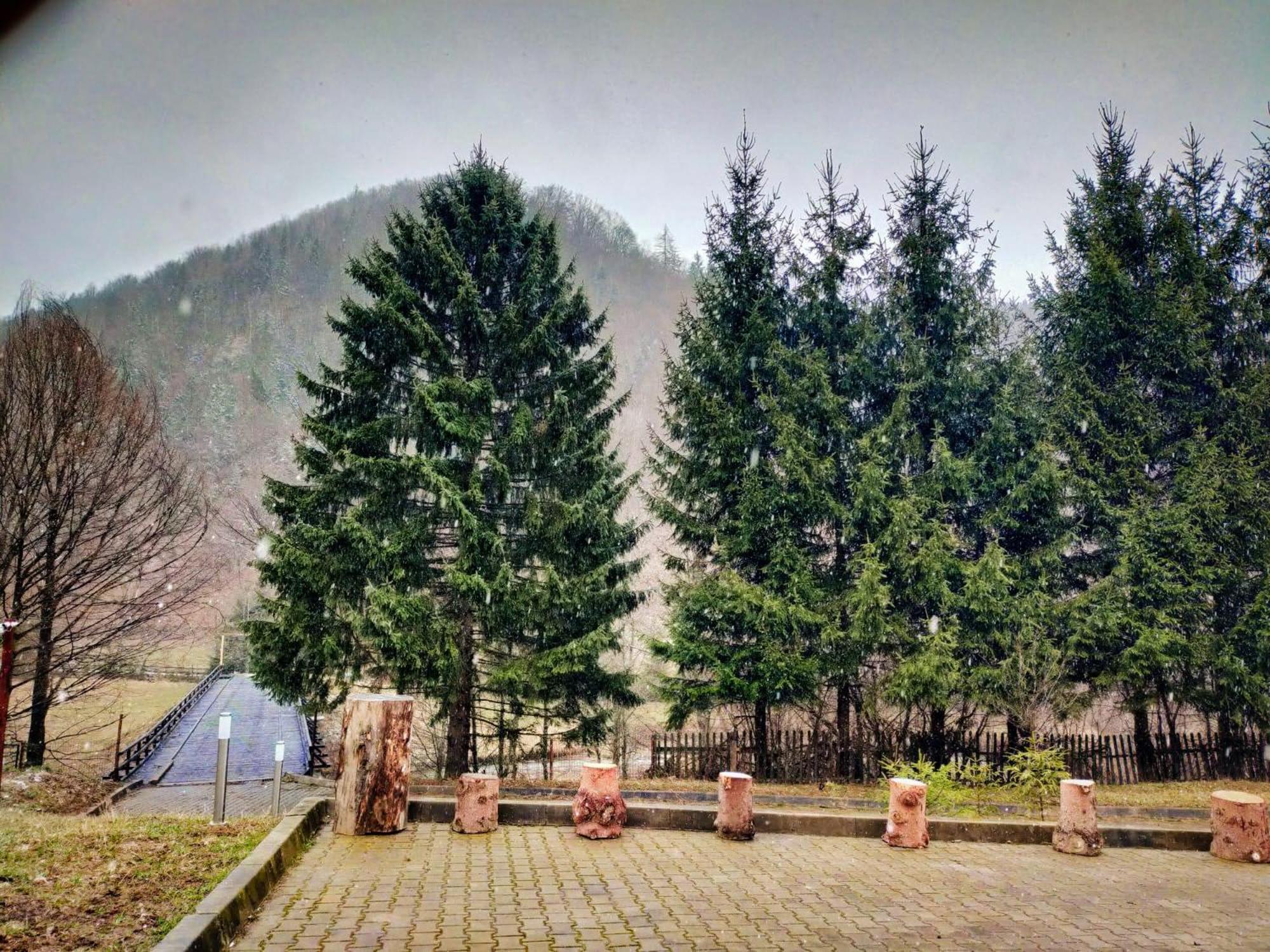 Villa & Spa 4Temporadas - Plaiul Foii Zărneşti المظهر الخارجي الصورة